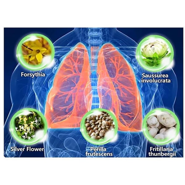 2x Herbal Lung Cleanse Mist kraftfullt lungstöd, 30 ml örtspray null none