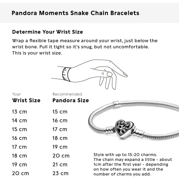 Pandora Unique Elegant Sterling Silver Armband -18Cm 18 cm