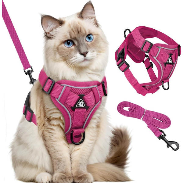 Dog Harness and Leash Set - Triangular Stabilization Ring - 2 Leash Clips - Adjustable Pet Harness - Padded Vest
