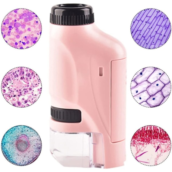 1-delat handhållet bärbart mikroskop för barn 60X-120X optisk mini biologiska vetenskapsexperiment present pusselleksak för grundskoleelever rosa