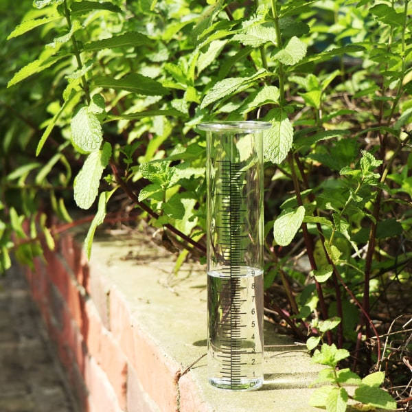 2 stk Regnmålere Regnmålingsværktøj Glasrør 21cm/ 8inch