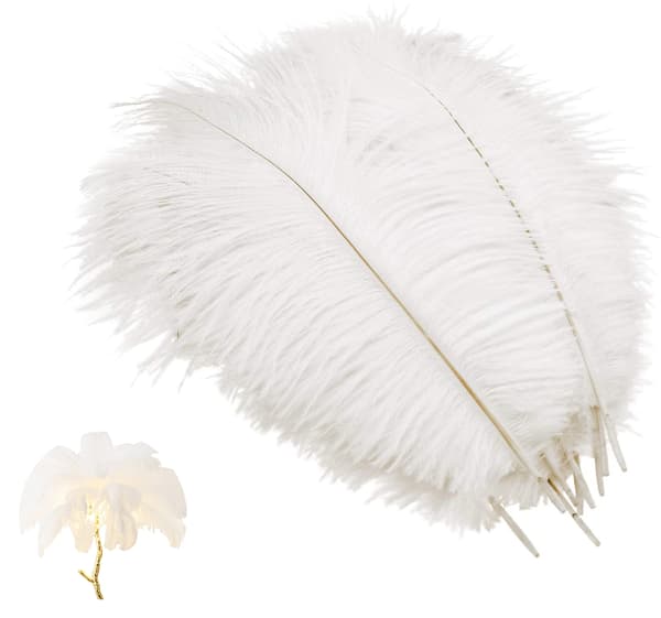 10 stk strutsfjær dekorasjoner for bryllupsfest - Hvit, 25-30 cm