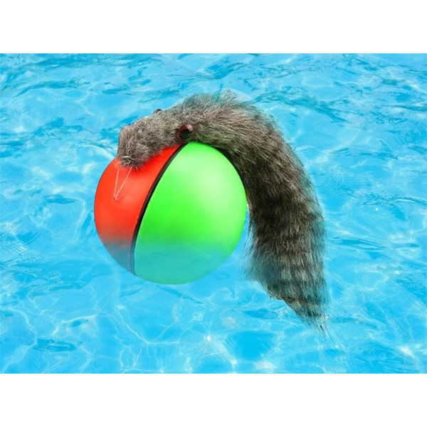 Elektrisk Kattleksak / Leksak för Katt - Rullande boll med iller 165