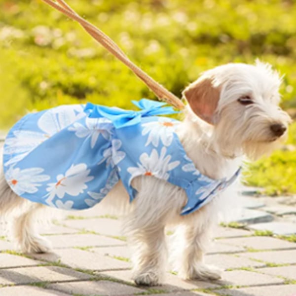 Söt hundklänning i ljusblått med prästkrage och söt rosett på ryggen