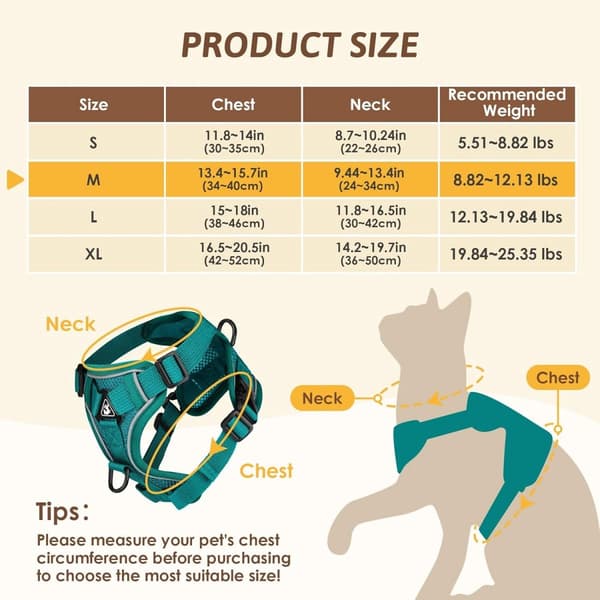 Dog Harness and Leash Set - Triangular Stabilization Ring - 2 Leash Clips - Adjustable Pet Harness - Padded Vest