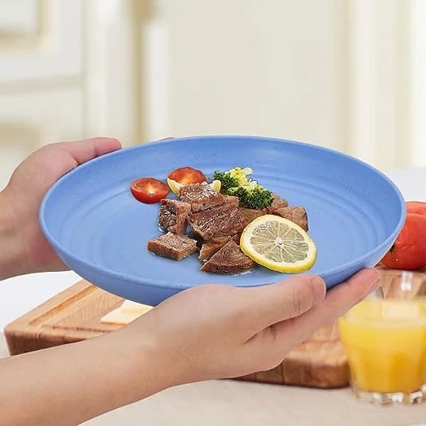 Set med 4 stora 20 cm x 2,5 cm plasttallrikar, djupa campingtallrikar_tfrf