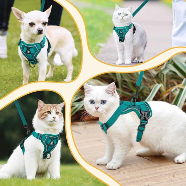 Dog Harness and Leash Set - Triangular Stabilization Ring - 2 Leash Clips - Adjustable Pet Harness - Padded Vest
