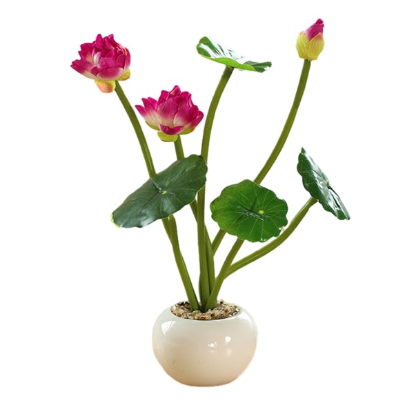 CDQ Lotus små runde bonsai kunstige planter innredning falske