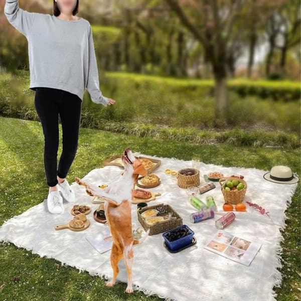 Boho picnic-tæppe, vandtæt og vaskbart strandmåtte, let og bærbart udendørstæppe til camping, park og have, hvid 90x180 cm