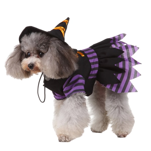 CDQ 1 set svart med lila halloween hundkläder