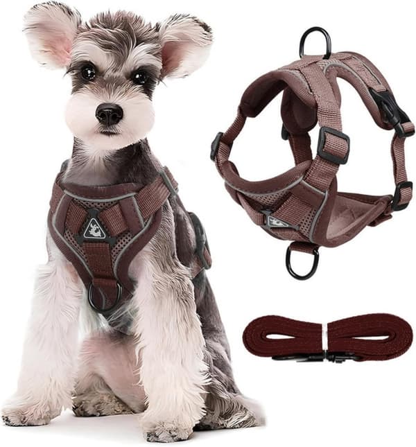 Dog Harness and Leash Set - Triangular Stabilization Ring - 2 Leash Clips - Adjustable Pet Harness - Padded Vest