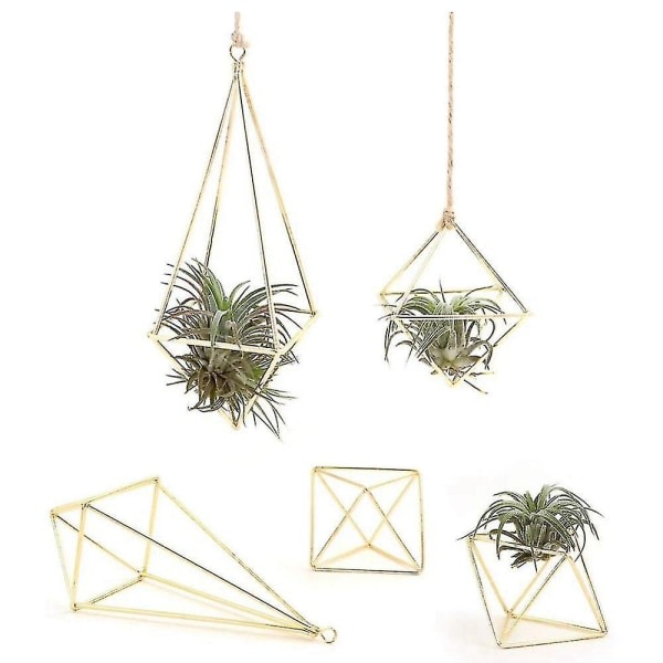 Växthållare 5-pack Metalldekor Moderne geometrisk hängare Hängande växter Planteringskärl Bordsskiva Display R