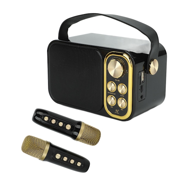 Karaokemaskin med 2 mikrofoner Allt-i-ett Karaoke-maskin Bärbar Bluetooth-sångmaskin för hemmafester Svart
