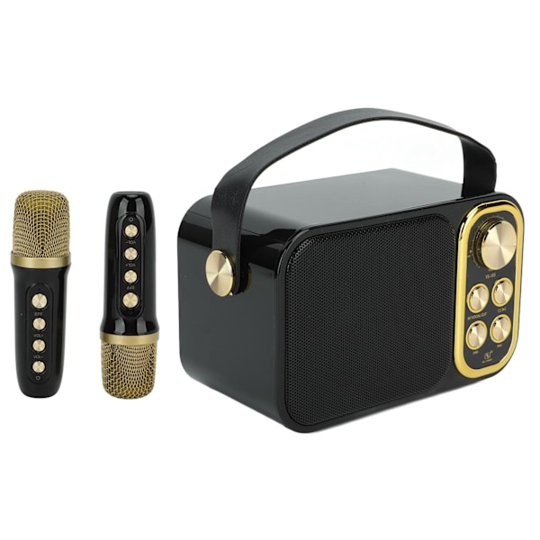 Karaokemaskin med 2 mikrofoner Allt-i-ett Karaoke-maskin Bärbar Bluetooth-sångmaskin för hemmafester Svart