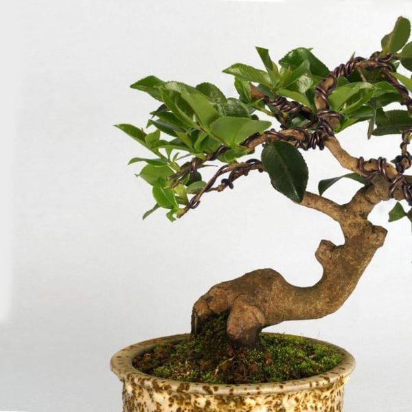 Bonsai treningstråd, bonsai modellerende aluminiumtråd (1 st) 1,0 mm 1.0mm