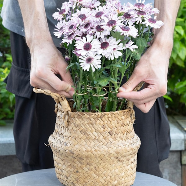 5 st Växtstöd, blomstöd, klätterställning, blomrankstöd, trädgårdsstativ 5PCS
