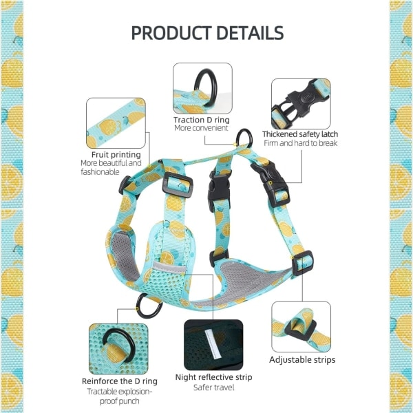 Hundsele med ventilation för sommaren, No Pull Justerbar D-Ring Reflex Sele Webbing Walking Sele för små medelstora stora hundar (grön, XL)
