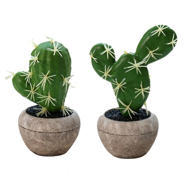 2. liten simuleringsväxtukväxt kaktus bonsaieativ