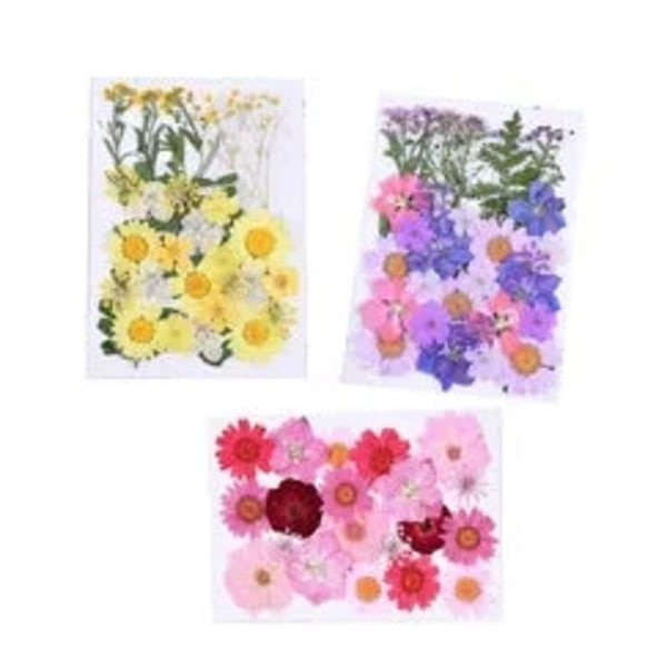 Naturlige tørrede blomster Pressede blomster Blandede tørrede blade Blandede Flere tørrede blomster til kunsthåndværk DIY Resin Scrapbooking