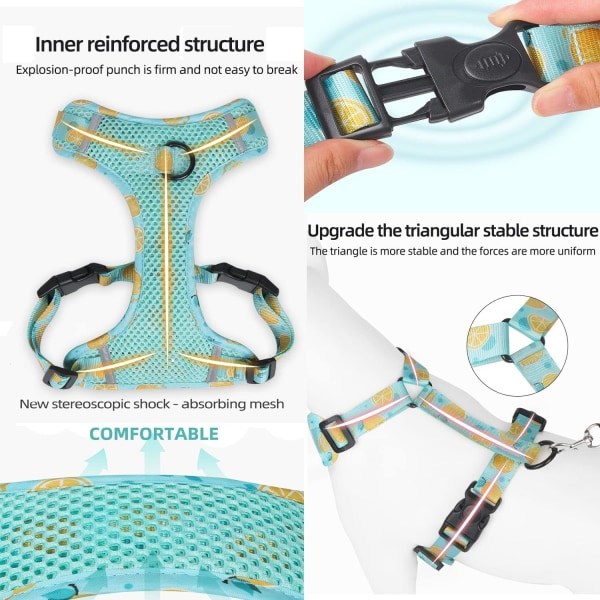 Hundsele med ventilation för sommaren, No Pull Justerbar D-Ring Reflex Sele Webbing Walking Sele för små medelstora stora hundar (grön, XL)