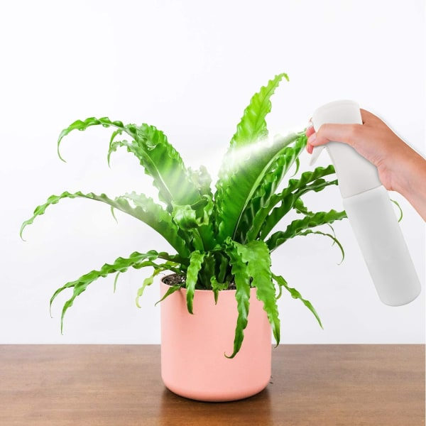 Tom spraypullo - 300 ml hiusspraypullo Suihke Hienosumu Suihkupullo Ultrafine jatkuva suihkevesipullo