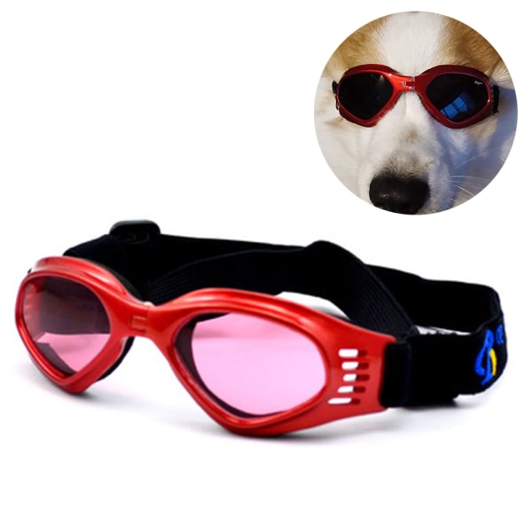 CDQ Hundsolglasögon, justerbar rem til UV-solglasögon, vandtæt