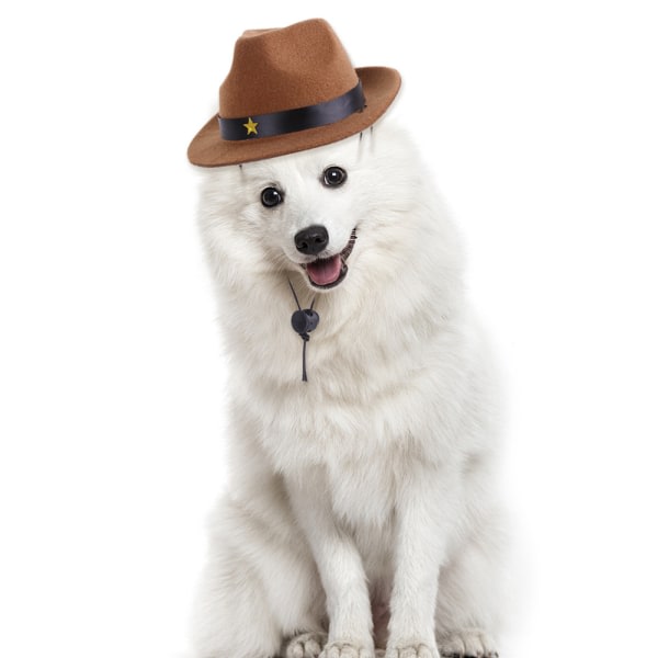 Pet hatt stilig femuddig stjernemønster cowboyhatt brun CDQ