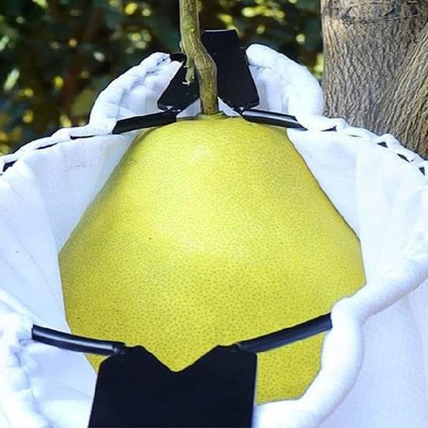 Fruktplukker, fruktplukker i metall med oppsamlingspose, teleskopisk håndtaksløs fruktfanger, 16 cm