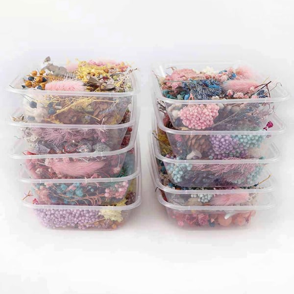 Torkade blommor Naturlig blomsterkonst Craft Scrapbooking Resin Jewel Multicolor 5st