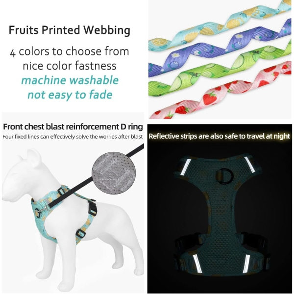 Hundsele med ventilation för sommaren, No Pull Justerbar D-Ring Reflex Sele Webbing Walking Sele för små medelstora stora hundar (grön, XL)