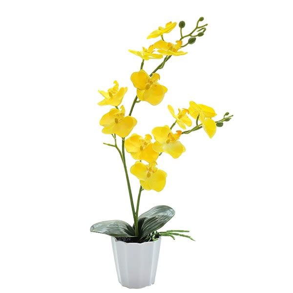 CDQ Falsk blomma phalaenopsis bonsai skrivbord liten dekoration växt