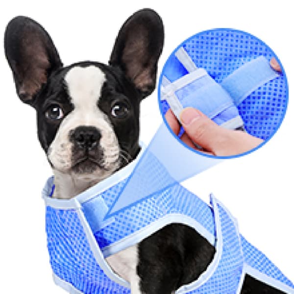 Cooling Vest for Small Dogs, Lightweight Superior Pva Ice Cooling Mesh Natural Evaporative Cooling Heat Reflection, Easy On Breathable Soft