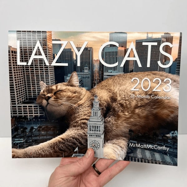 CDQ 2023 Veggkalender e Cats Funny Pooches Kalender