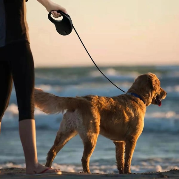 Hundkoppel Indragbart vandringsled Automatiskt rep förlängbart koppel Vaaleanpunainen ei mitään