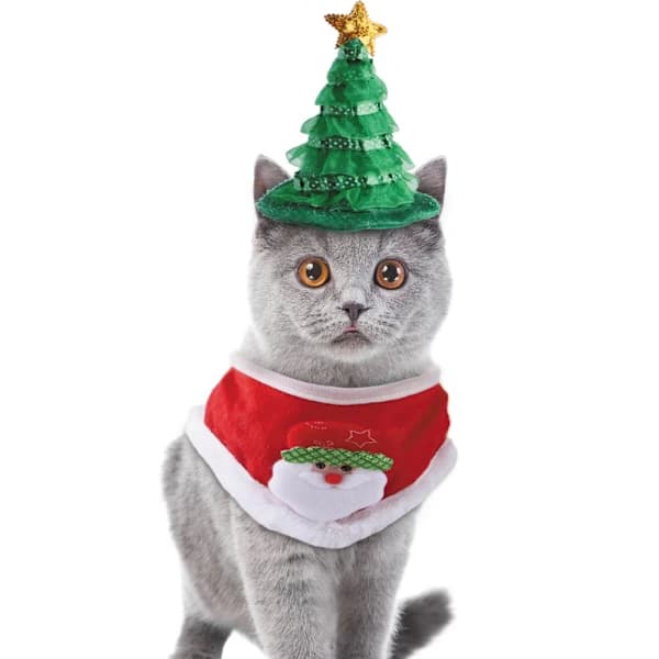 Kæledyrstilbehør Ny julehat hagesmæk sæt kat juletræ hat Ac