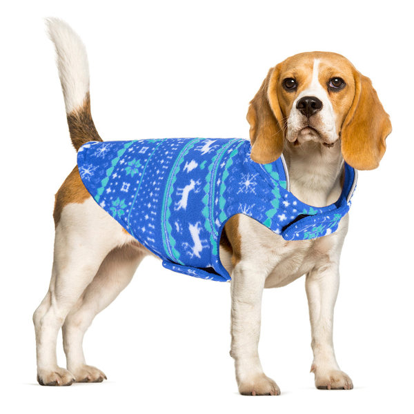 CDQ Holiday Christmas Classic Dog Sweater, Cold Weather Small XL