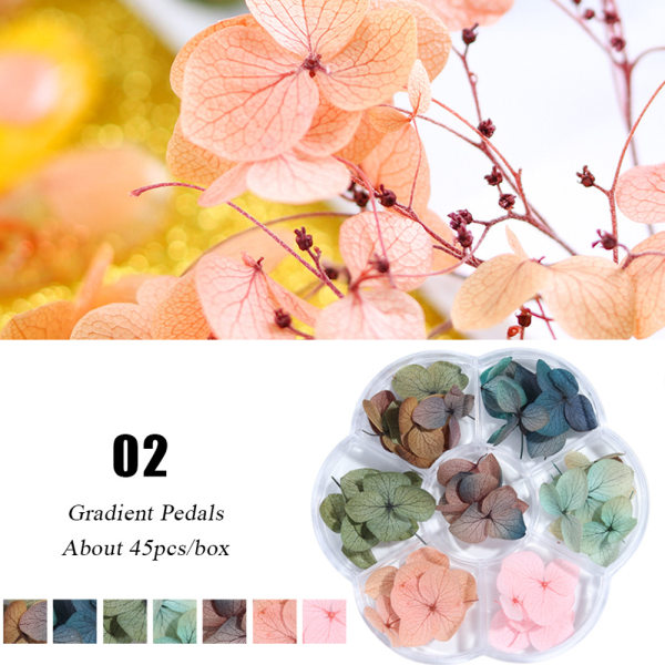 CDQ Nail Art Torkade blommor 3D Nail Art Stickers Färgglada Natural shape2