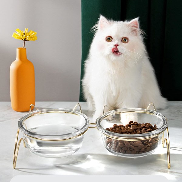 Förhöjd kattskål, halkfri kattskål med dubbelglasskål
