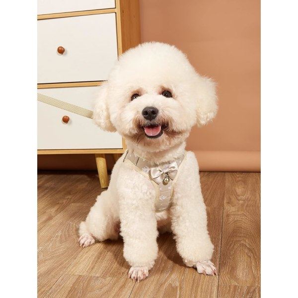 Söpö koiranvaljaat koiranliivi valjaat taluttimella Set Bell Bow Design Pentu Kissa Valjaat talutin Set pienille keskikokoisille koirille Beige XXS