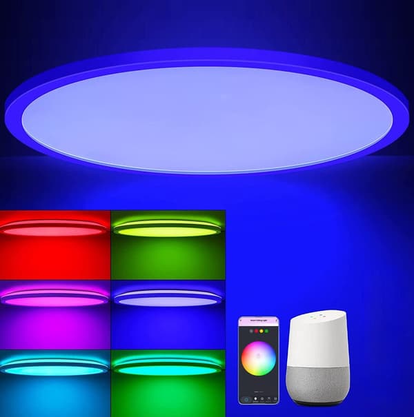 (Til Europa) Smart Loftlampe - Sort Ram RGB220V-240V Dæmpbar