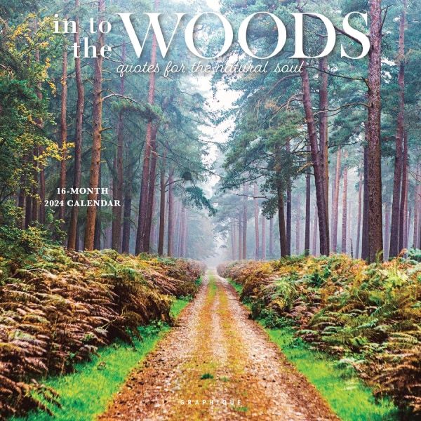 2024 In to the Woods Veggkalender | 12\" x 12\" | Stor månedlig rute | 3 språk og markerte helligdager | 4 2024