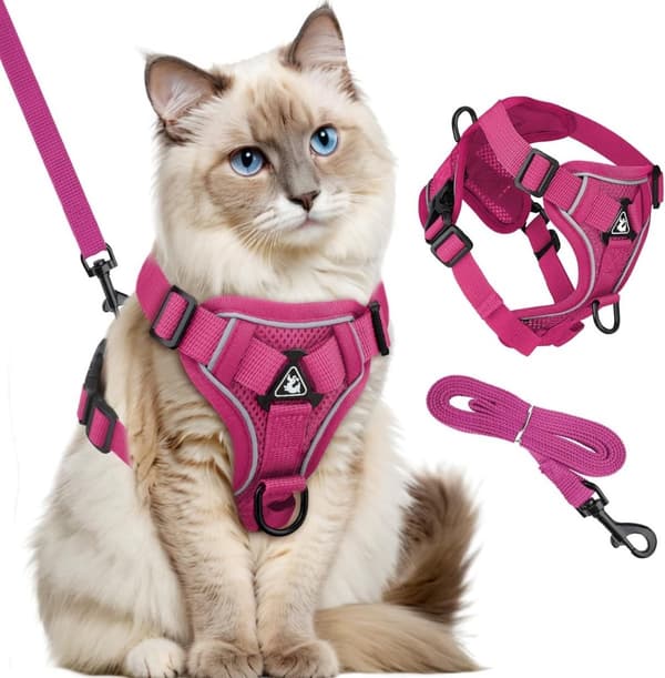 Dog Harness and Leash Set - Triangular Stabilization Ring - 2 Leash Clips - Adjustable Pet Harness - Padded Vest