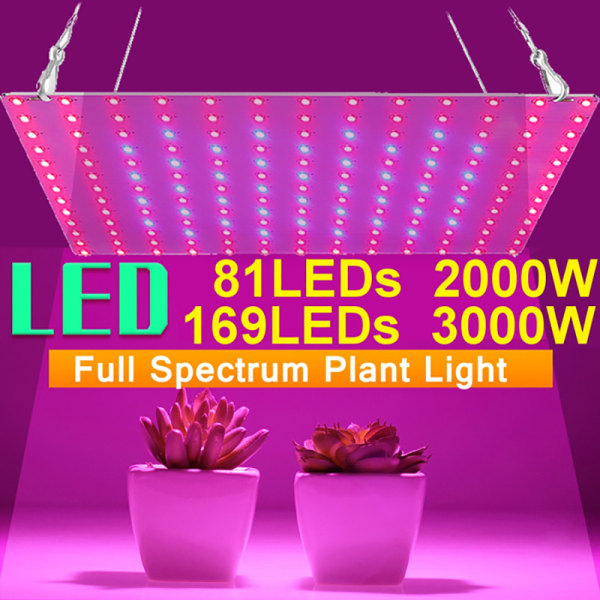 CDQ LED Grow Light Full Spectrum LEDs Justerbart rep Type 1 ( 169LED-UK )