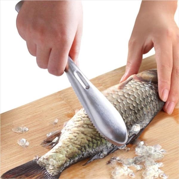 Fish Scraper - Fish Descaler - Scale Remover - Stainless Steel - Fish Scale Scraper - Fish Scale Brush - Fish Scale Remover