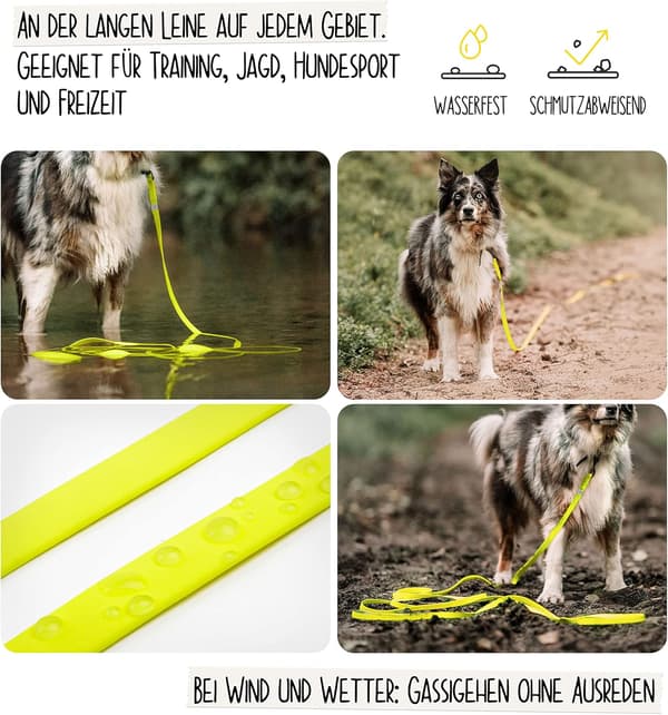 High-Performance Dog Leash with Electroplated Black Hardware, Lightweight and Durable Leash for Outdoor Activities, Reflective Stitching Ensures