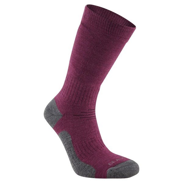 Craghoppers Unisex Adult Trek Merinoullstrumpor 6 UK-8 UK Wildberry Lila