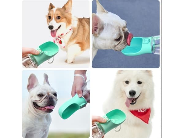 Vattenflaska för Hund / Hundflaska 350ml - Grön Green Grön