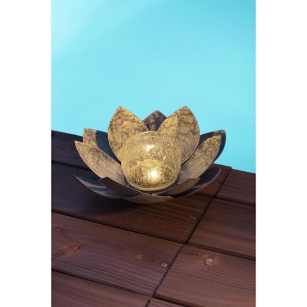 Solrose åkande - GALIX