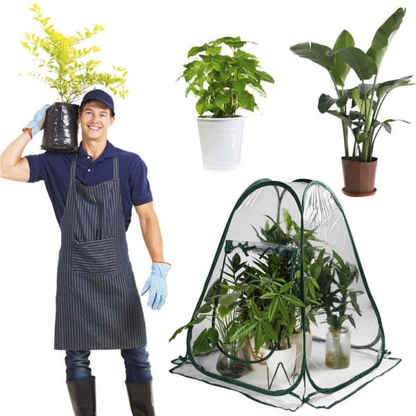Bærbart minidrivhus, tykt PVC-trekk, sammenleggbart ventilert plantely for potteplanter og frøplanter, 70 x 70 x 80 cm