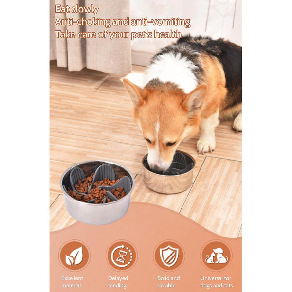 Slow Food Tallrik Choke Prevention Dog Bowl Pet Bowl